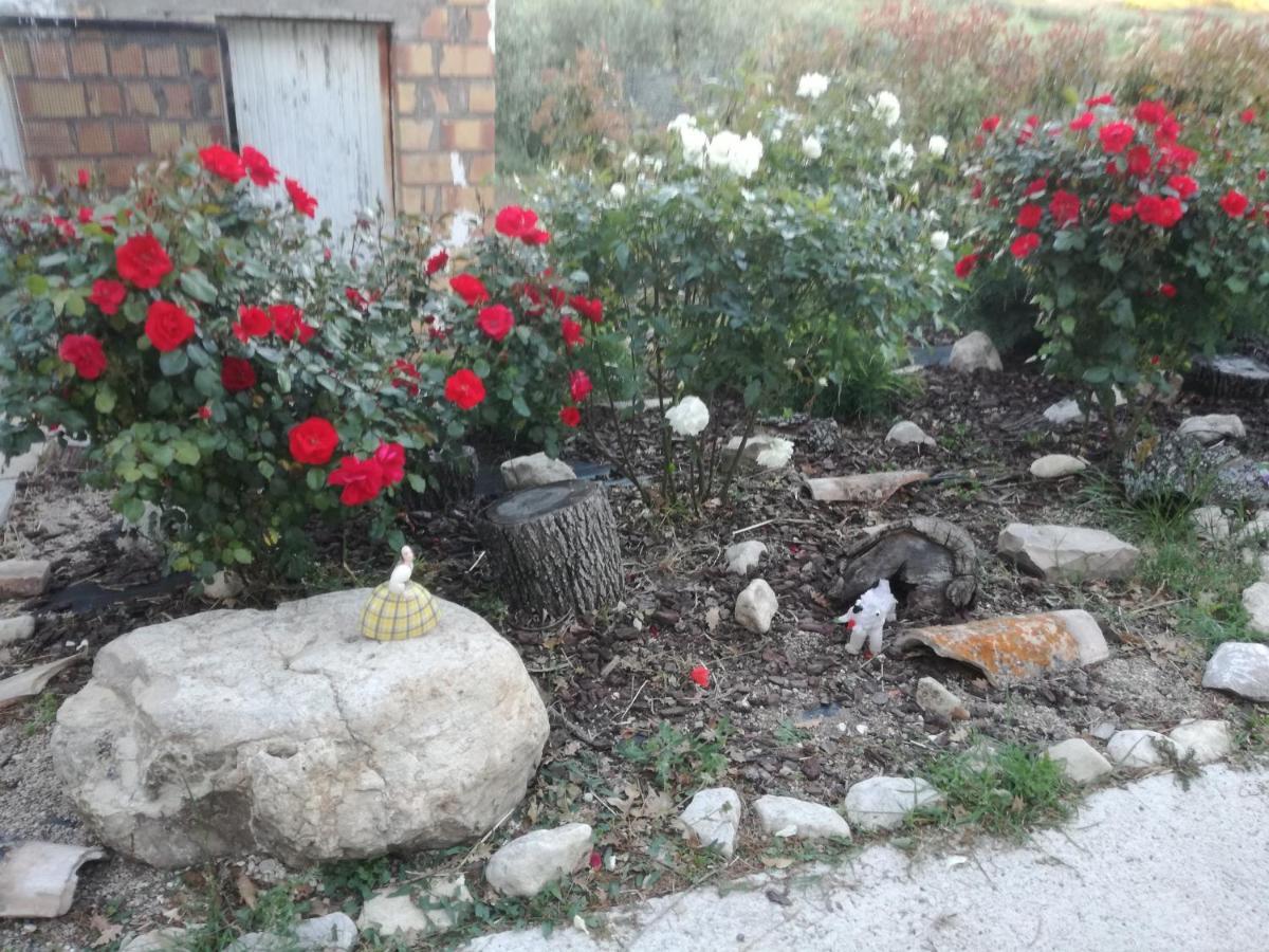 B&B Pozzo Innamorato Montenero di Bisaccia Εξωτερικό φωτογραφία
