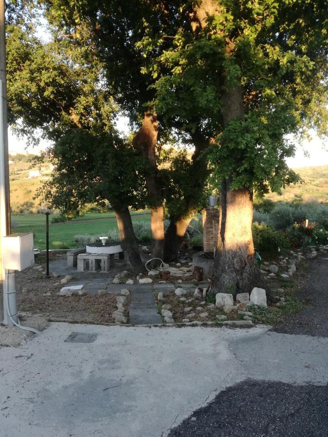 B&B Pozzo Innamorato Montenero di Bisaccia Εξωτερικό φωτογραφία