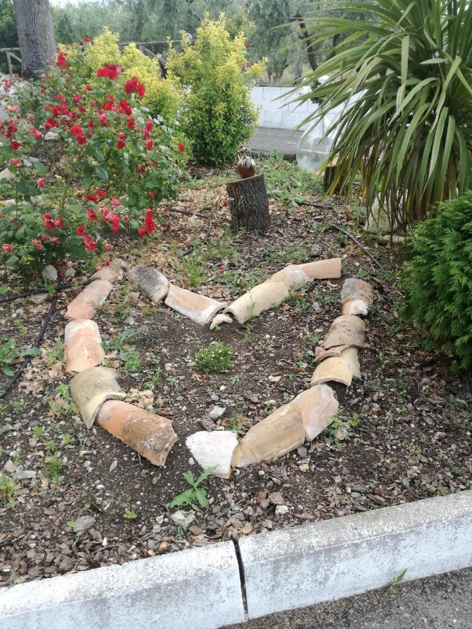 B&B Pozzo Innamorato Montenero di Bisaccia Εξωτερικό φωτογραφία
