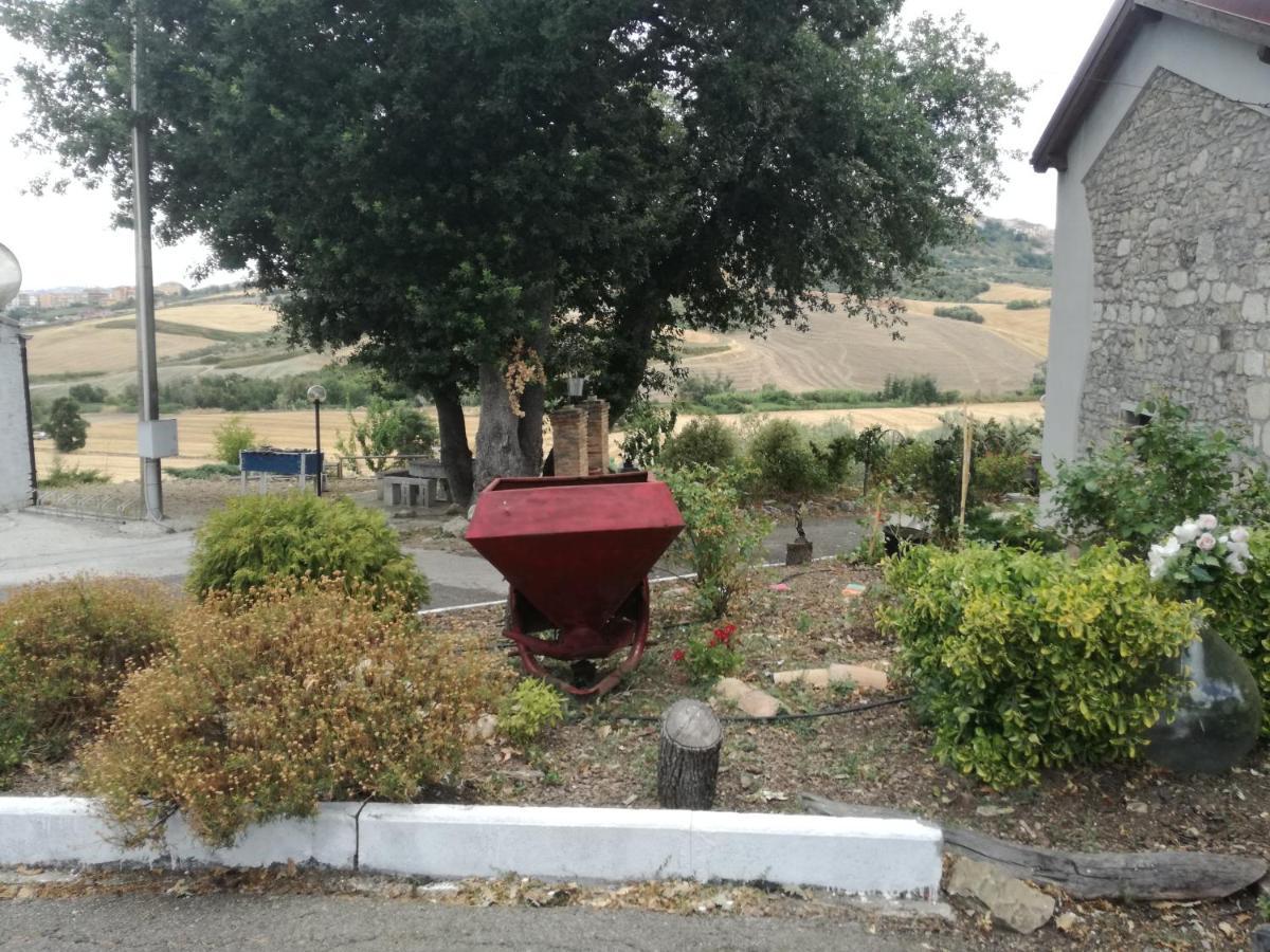 B&B Pozzo Innamorato Montenero di Bisaccia Εξωτερικό φωτογραφία
